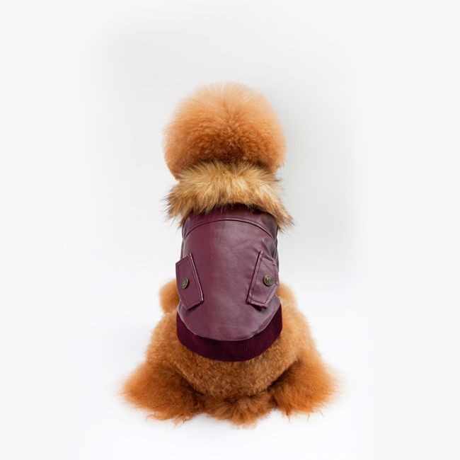 Pet Μπουφάν