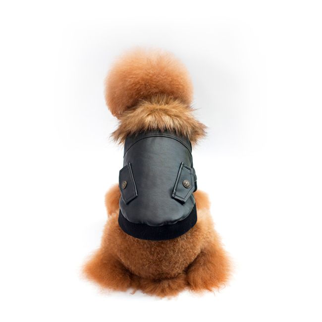Pet Μπουφάν
