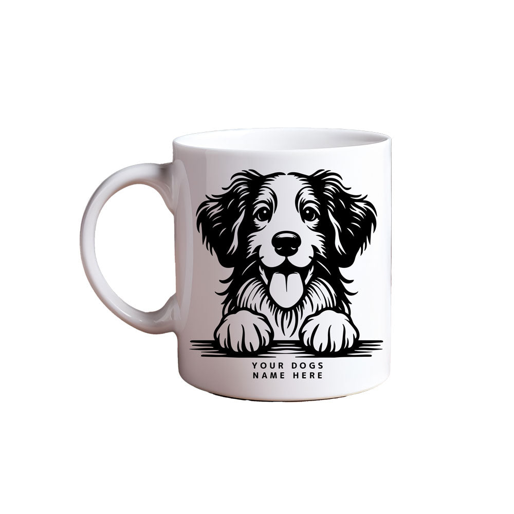 ΚΟΥΠΑ Irish Setter