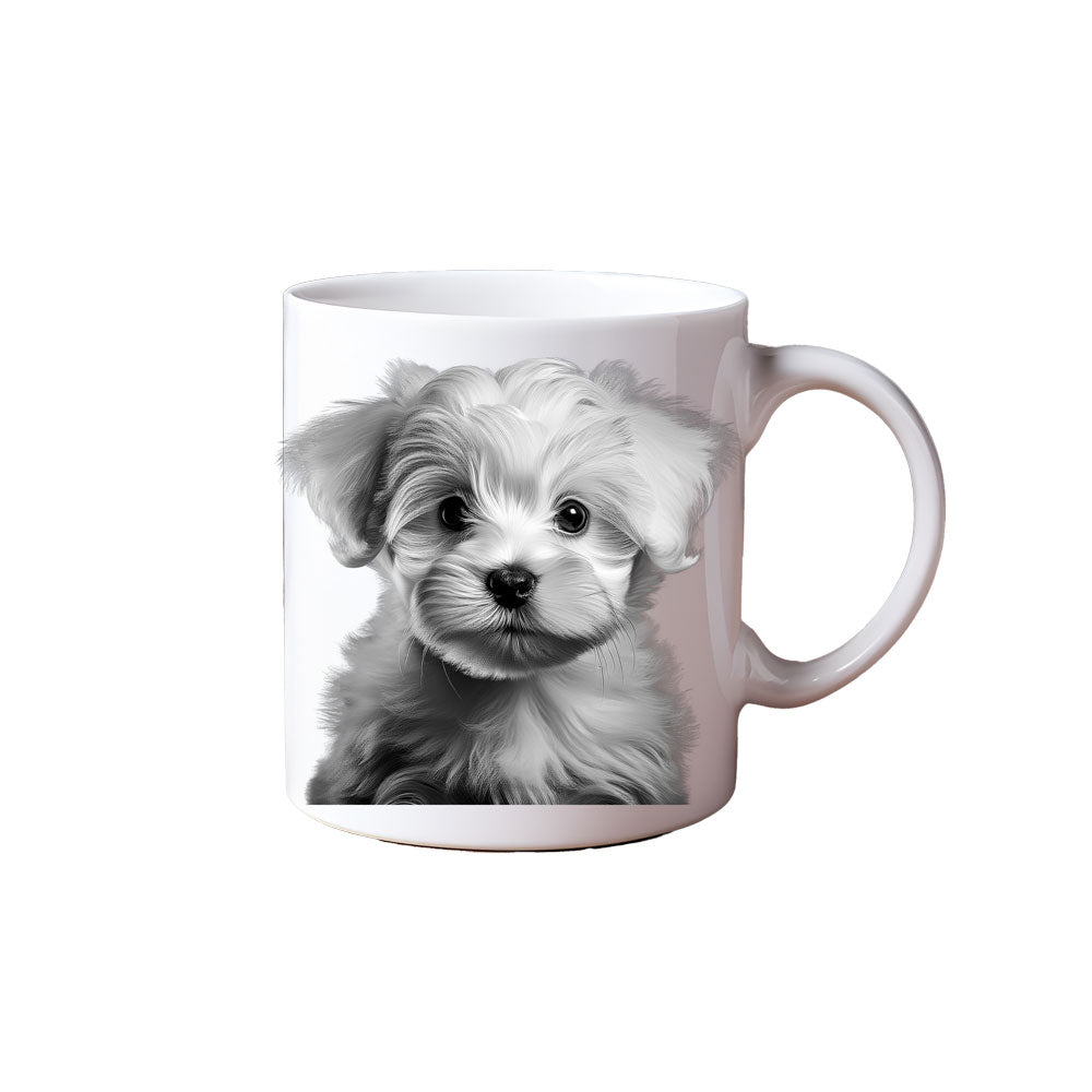 ΚΟΥΠΑ Maltese “Monochrome Pawfection”