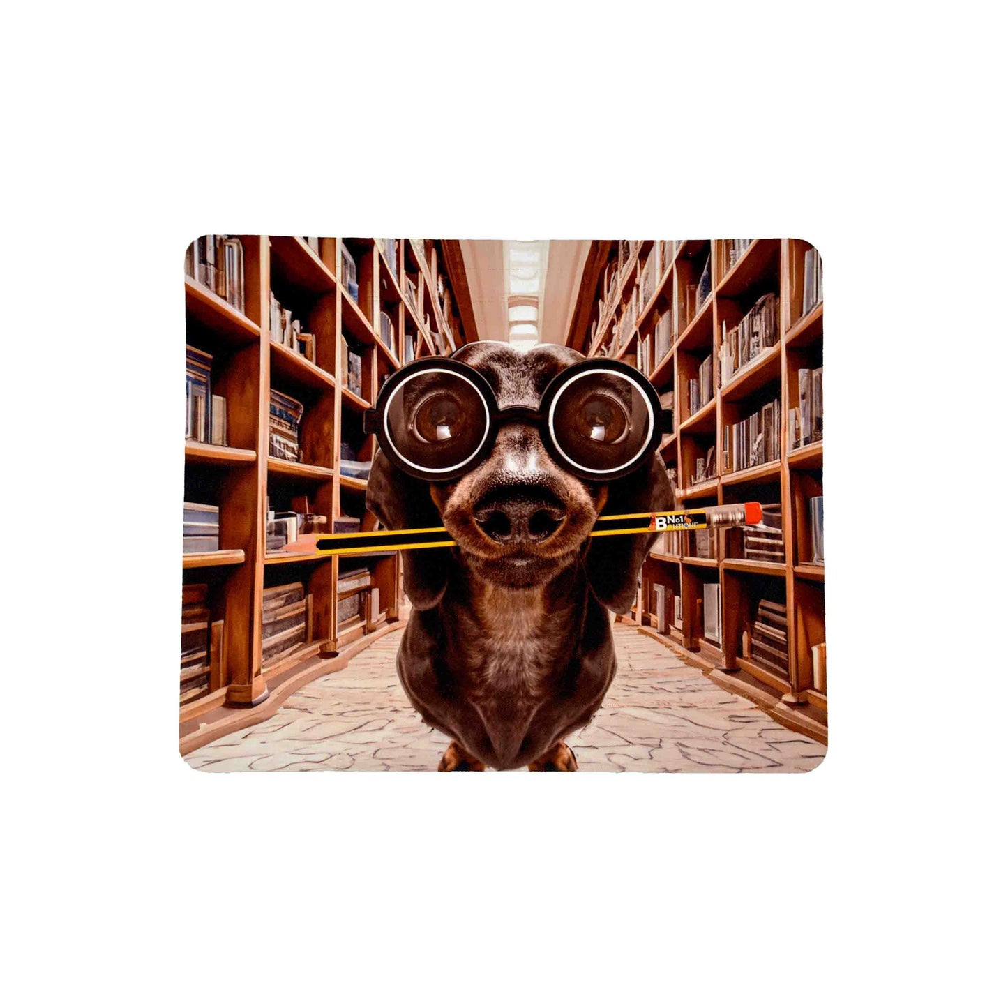 MOUSEPAD ΣΠΑΣΙΚΛΑΚΙ ΣΤΗΝ ΒΙΒΛΙΟΘΗΚΗ