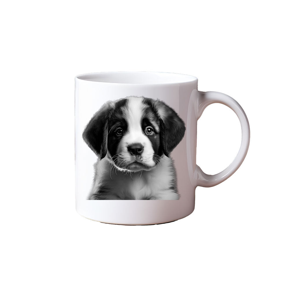 ΚΟΥΠΑ "The Gentle Saint Bernard"