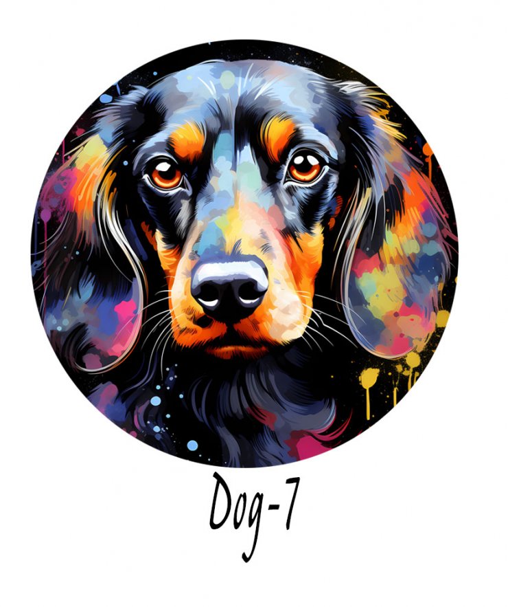 ΜΠΡΕΛΟΚ RAINBOW DOGS
