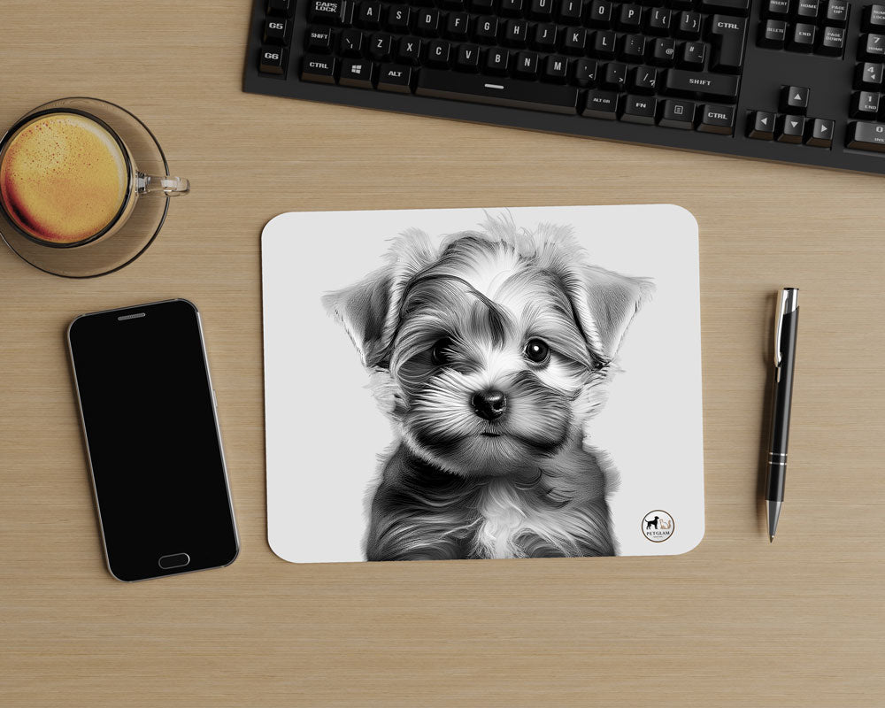 Black & White Pup Love