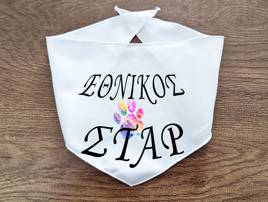 ΜΠΑΝΤΑΝΑ ΕΘΝΙΚΟΣ ΣΤΑΡ