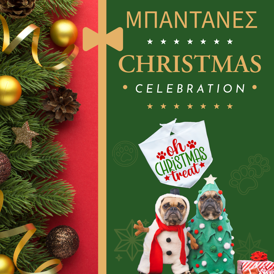 Xmas ΜΠΑΝΤΑΝΑ "Oh Christmas Treat"