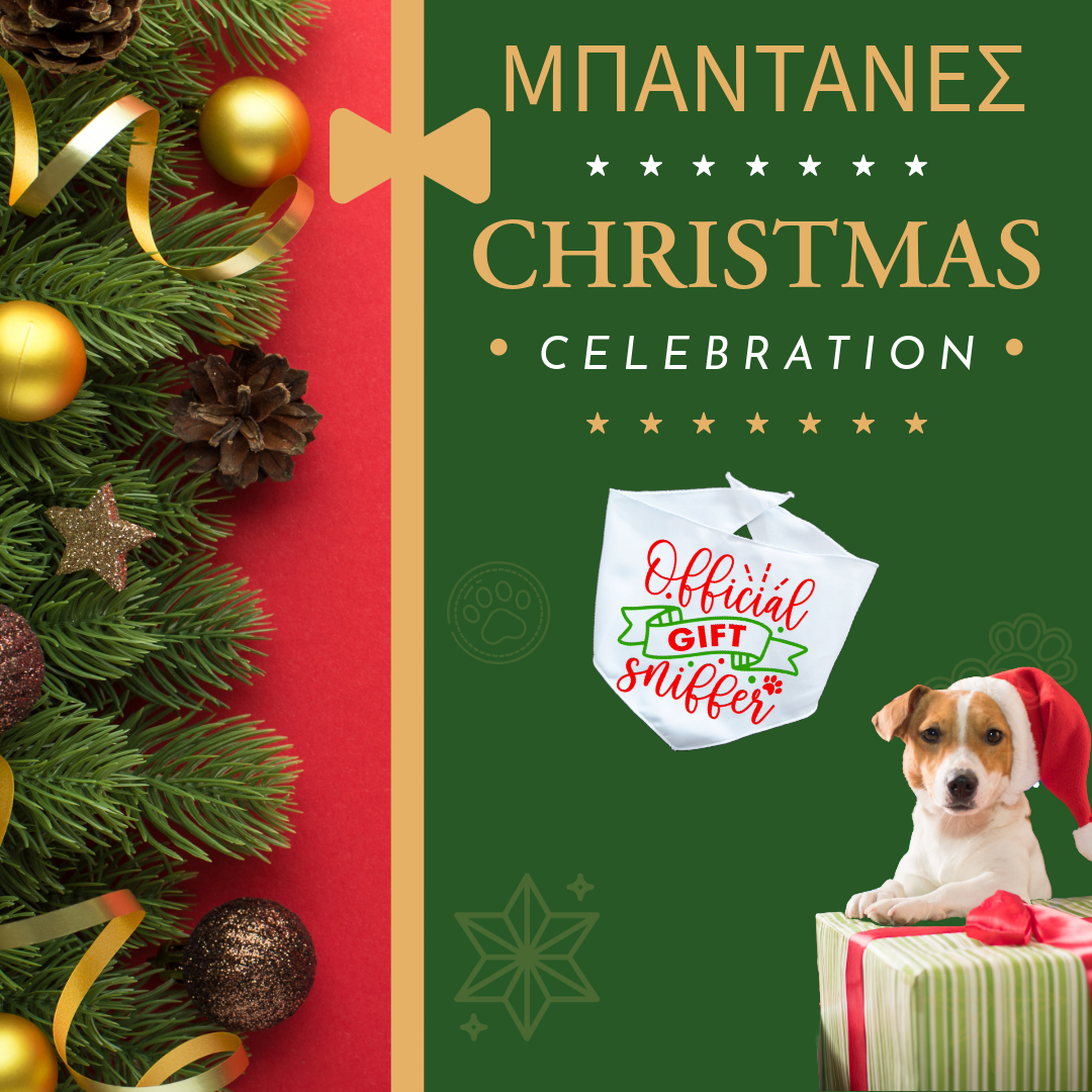 Xmas ΜΠΑΝΤΑΝΑ "Official Gift Sniffer"