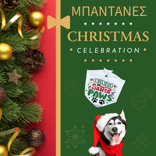 Xmas ΜΠΑΝΤΑΝΑ "I believe in Santa paws"