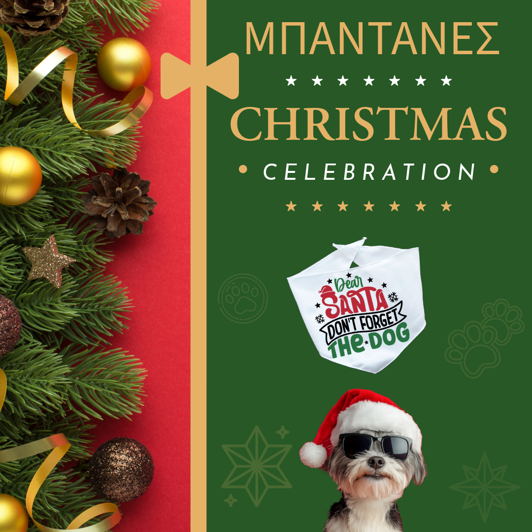 Xmas ΜΠΑΝΤΑΝΑ "Dear Santa don’t forget the dog"