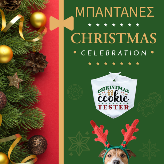 Xmas ΜΠΑΝΤΑΝΑ "Christmas cookie tester"