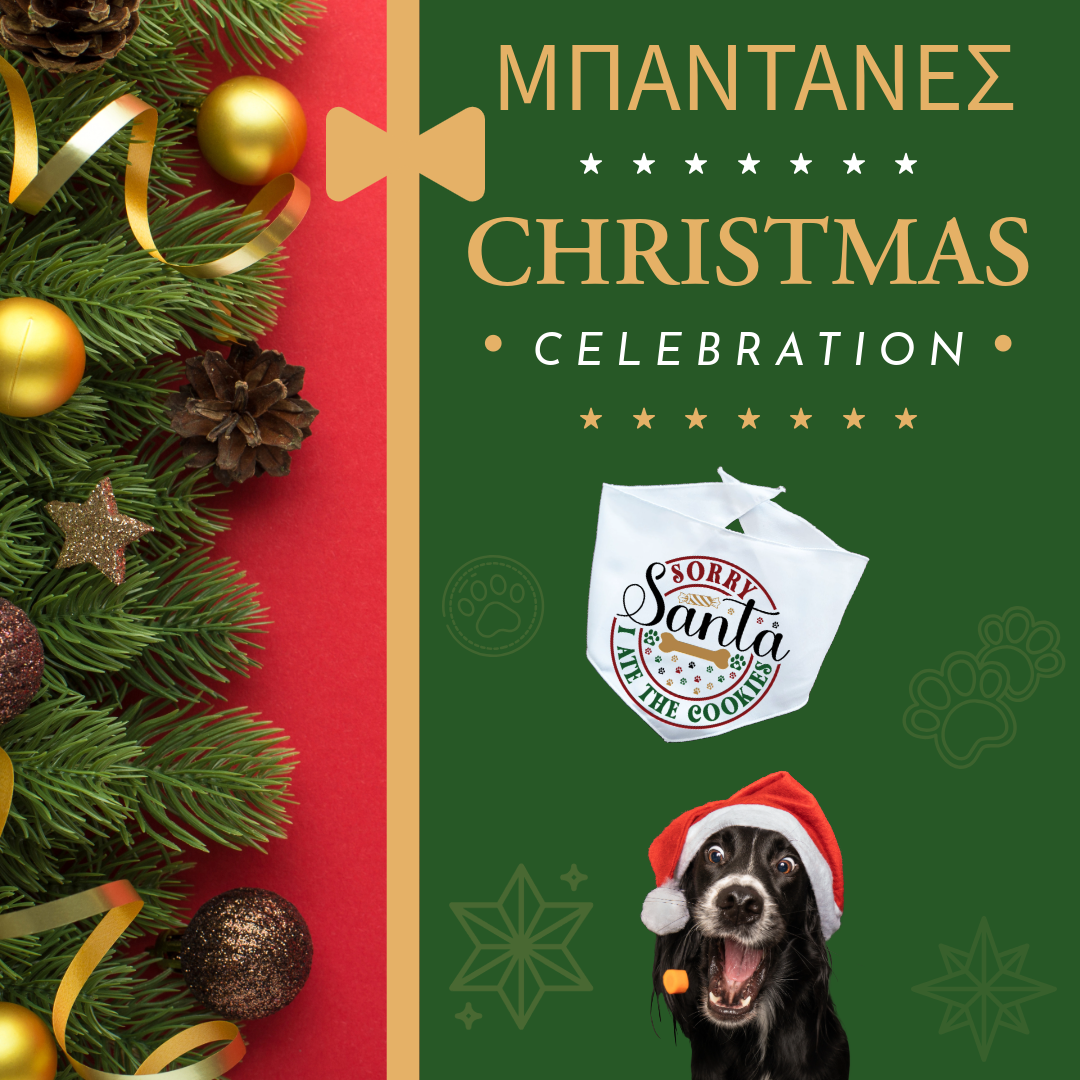 Xmas ΜΠΑΝΤΑΝΑ "Sorry Santa I ate the cookies"