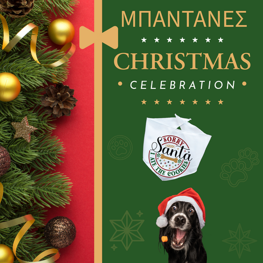 Xmas ΜΠΑΝΤΑΝΑ "Sorry Santa I ate the cookies"