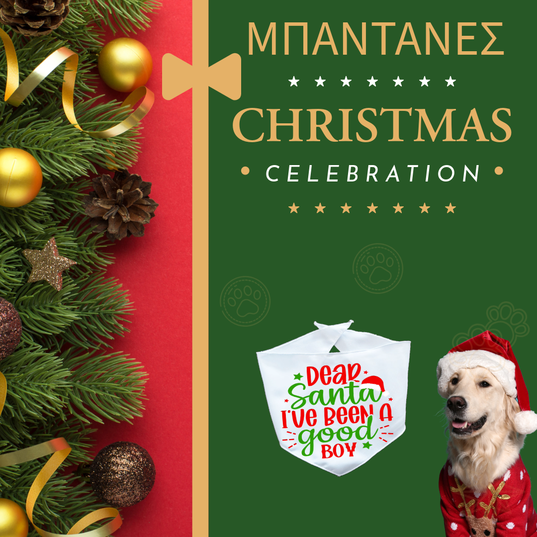 Xmas ΜΠΑΝΤΑΝΑ "Dear Santa I've Been a Good Boy"