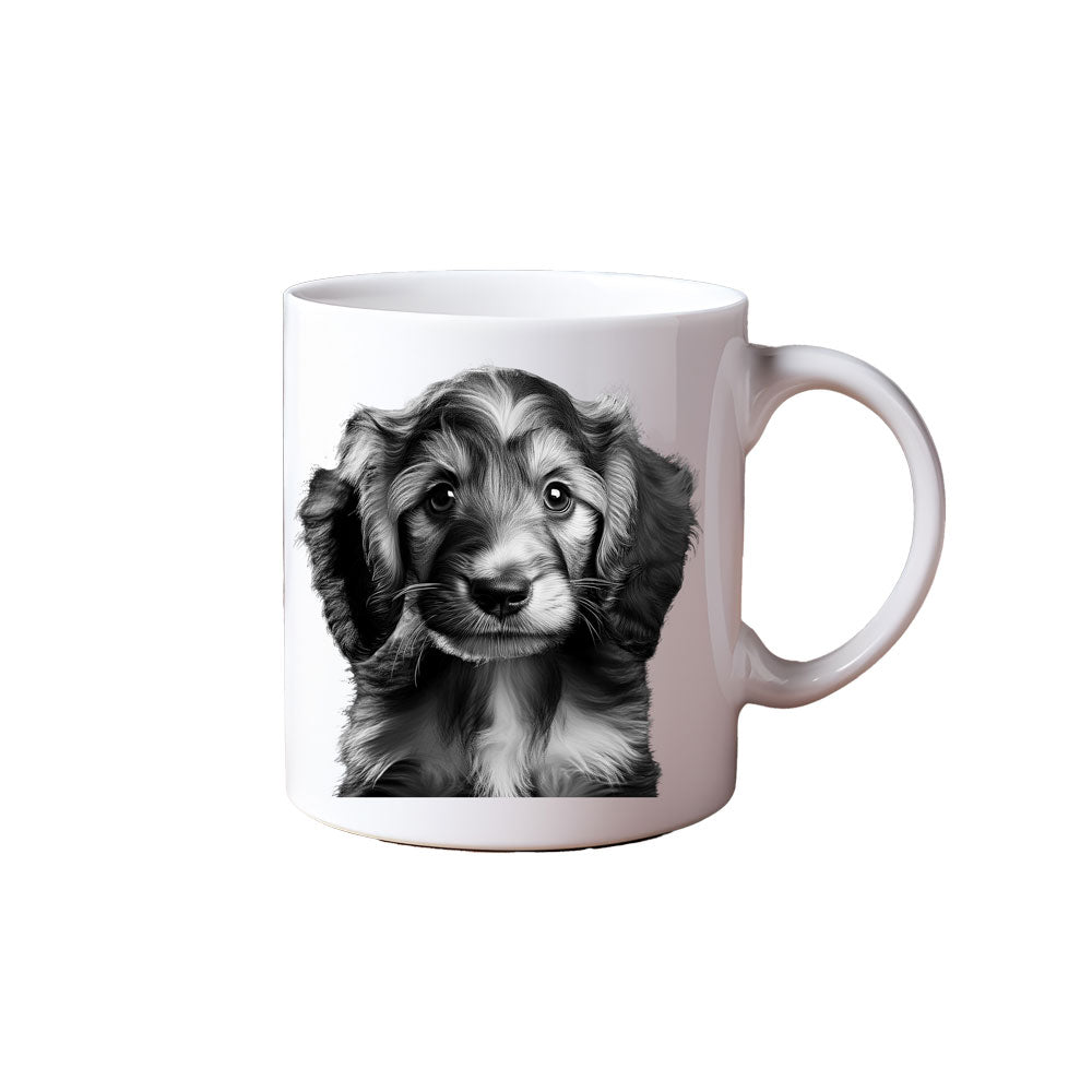 ΚΟΥΠΑ "Afghan Hound Flow"