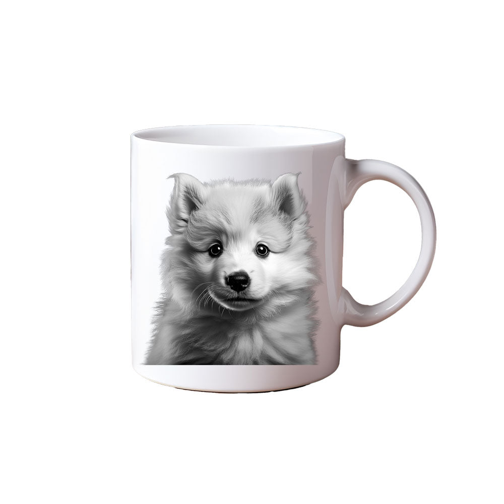 ΚΟΥΠΑ "American Eskimo Snow Pup"