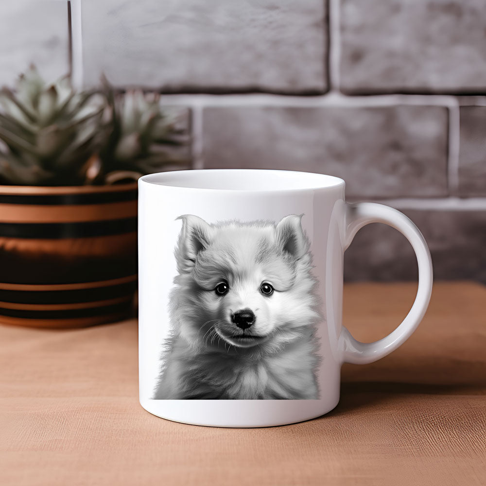 ΚΟΥΠΑ "American Eskimo Snow Pup"