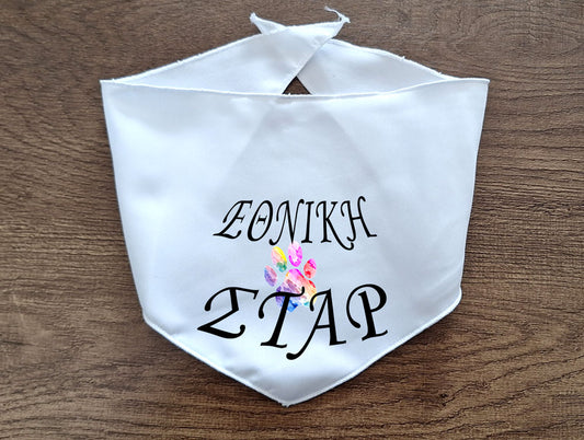 ΜΠΑΝΤΑΝΑ ΕΘΝΙΚΗ ΣΤΑΡ