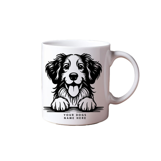 ΚΟΥΠΑ Irish Setter