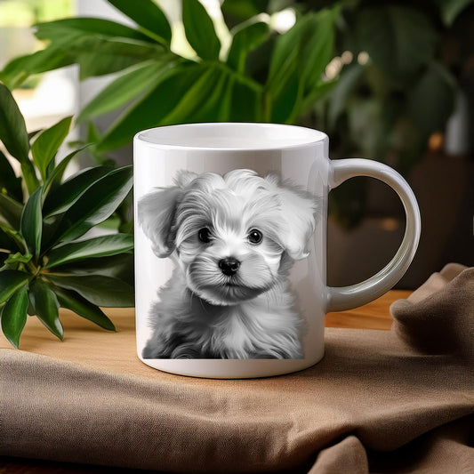 ΚΟΥΠΑ Maltese “Monochrome Pawfection”