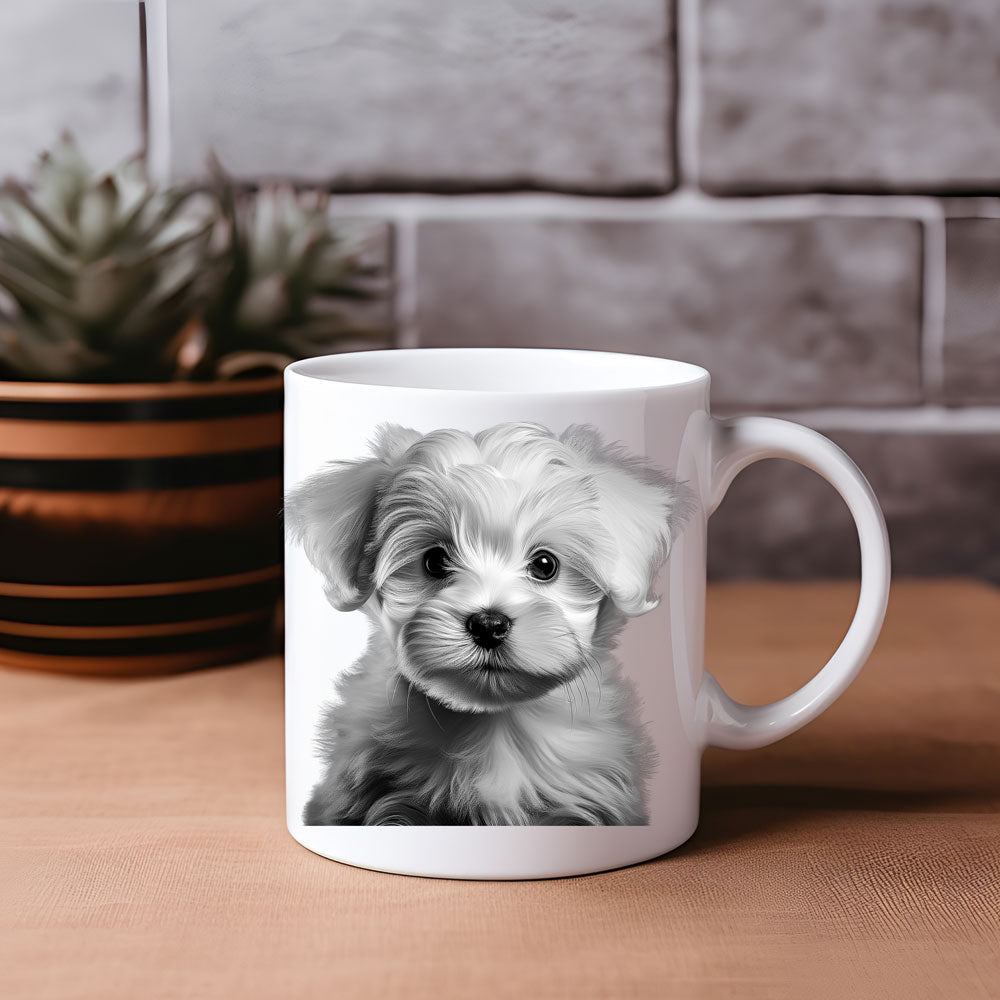 ΚΟΥΠΑ Maltese “Monochrome Pawfection”