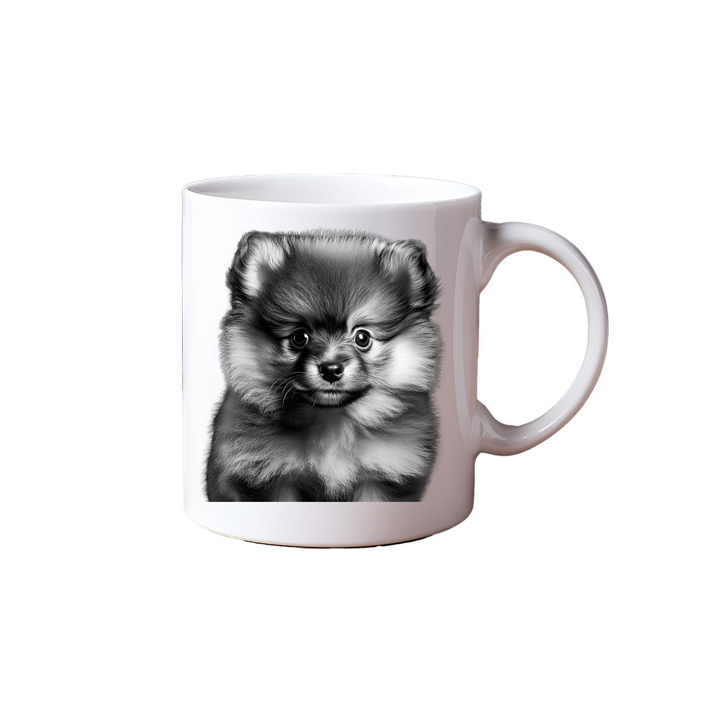 ΚΟΥΠΑ "Pomeranian Puff – Stylish Pup"