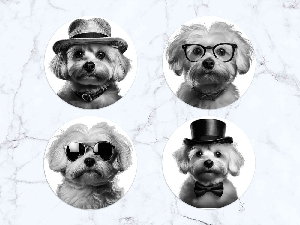 Σουβέρ με Maltese όλο γοητεία - Σετ 4τμχ