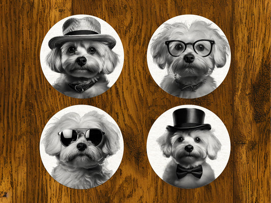 Σουβέρ με Maltese όλο γοητεία - Σετ 4τμχ