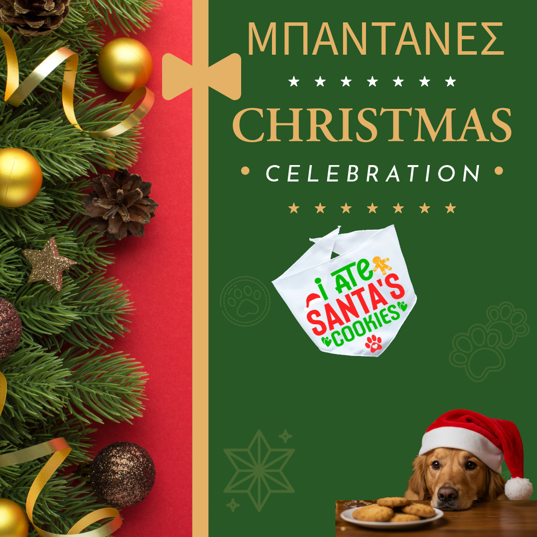 Xmas ΜΠΑΝΤΑΝΑ "I ATE SANTA'S COOKIES"