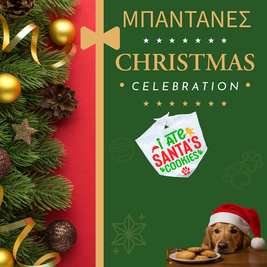 Xmas ΜΠΑΝΤΑΝΑ "I ATE SANTA'S COOKIES"