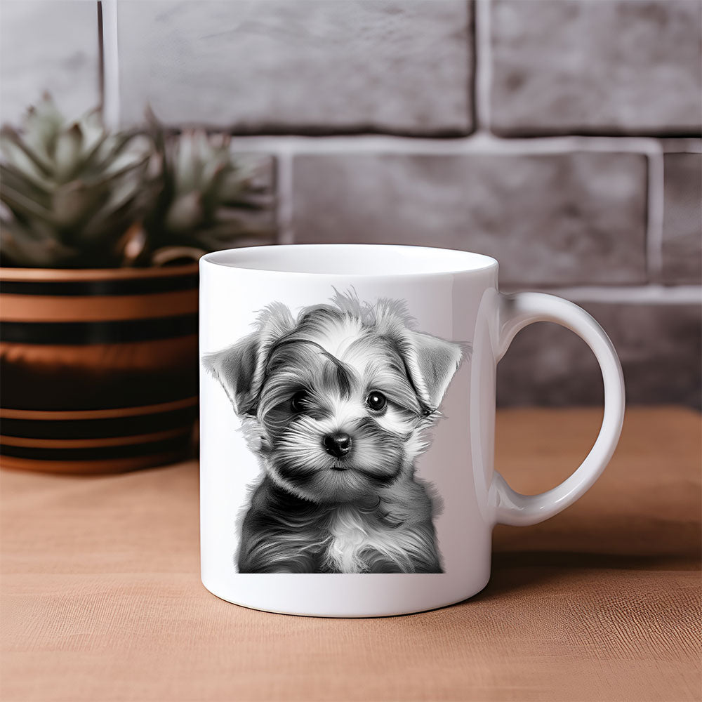 ΚΟΥΠΑ "Yorkshire Style – Tiny but Mighty"