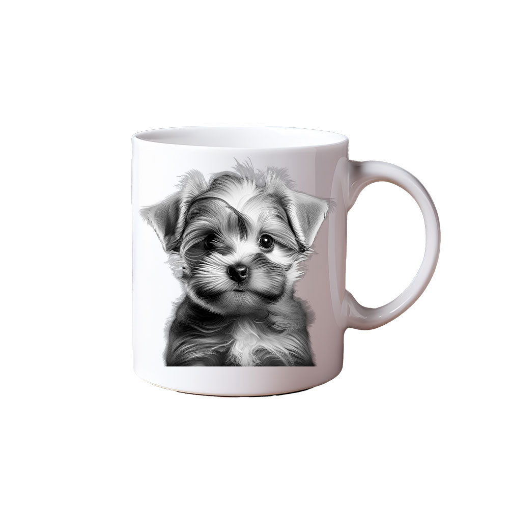 ΚΟΥΠΑ "Yorkshire Style – Tiny but Mighty"