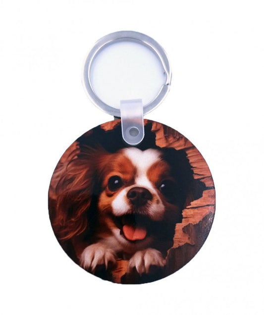 ΜΠΡΕΛΟΚ King Charles Cavalier Spaniel