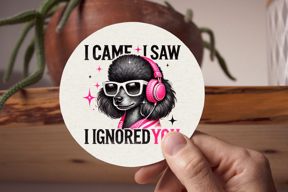 Σουβέρ "I came I saw and ignored you!"